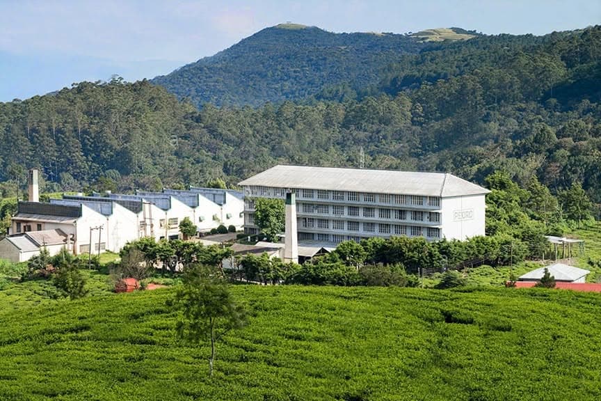Nuwara Eliya Other View