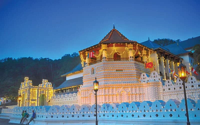 5-Day Highlight Sri Lanka Tour Back