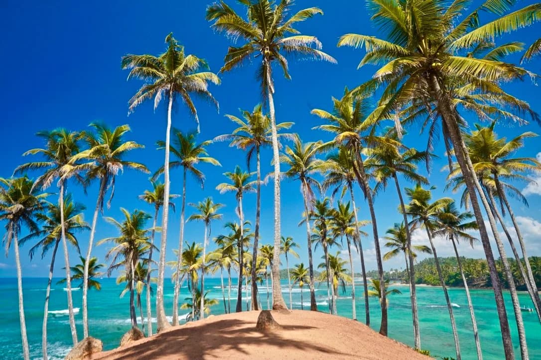 10-Day Culture & Beach Holiday