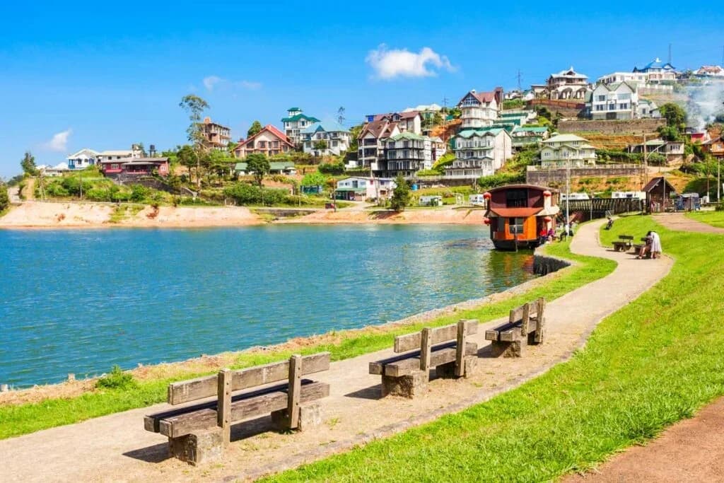 7-Day Classic Sri Lanka Tour Back